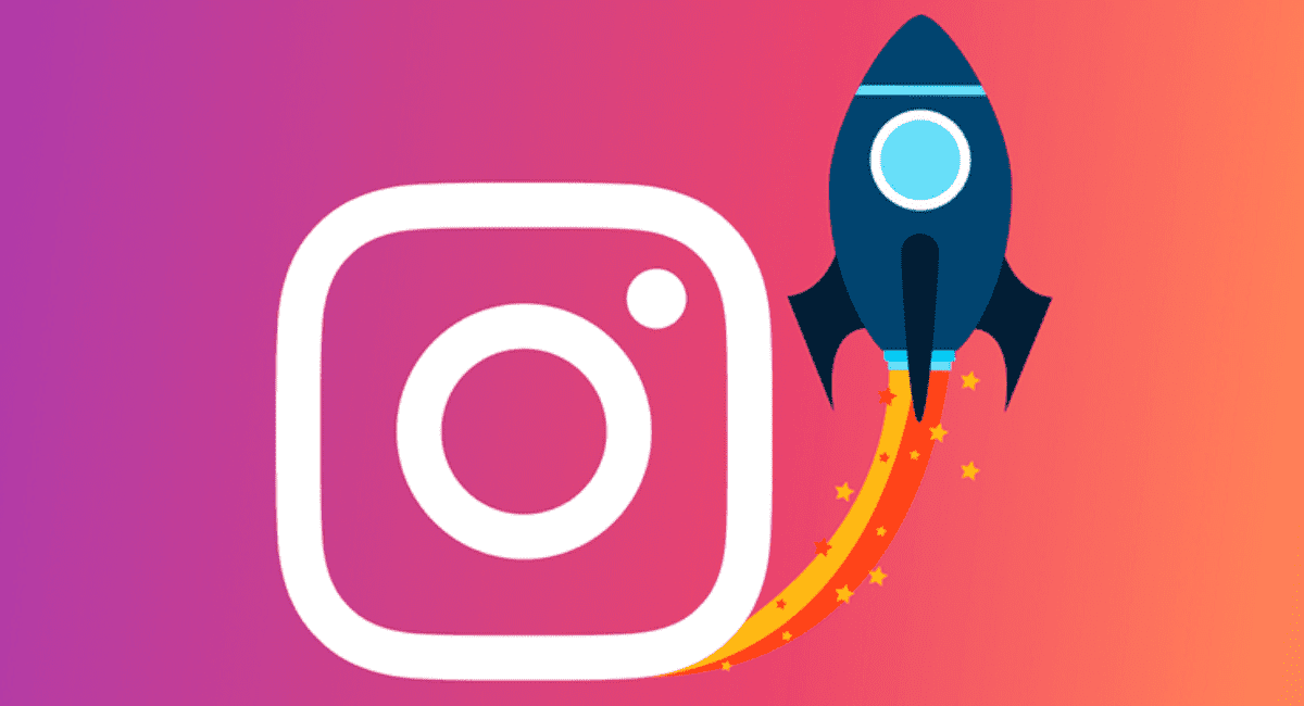 conquistar seguidores instagram