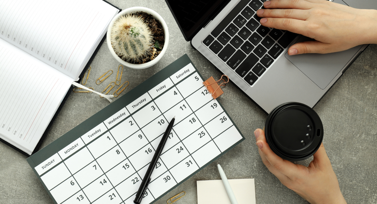 cronograma de postagem