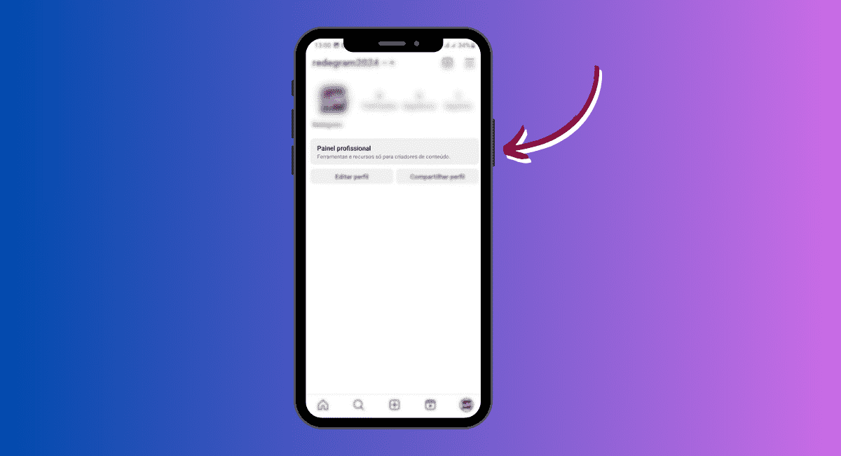 painel profissional instagram